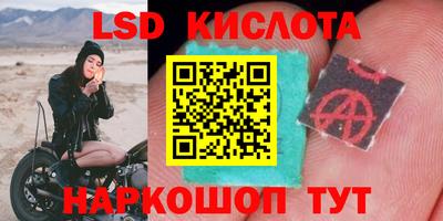 гидропоника Можайск