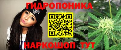 гидропоника Можайск