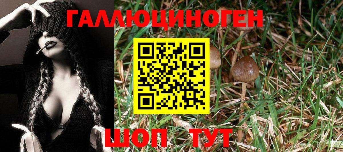 Усолье-Сибирское  Псилоцибиновые грибы мухоморы  Вход с VPN 